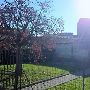La Casa Di Lucia - Appartement